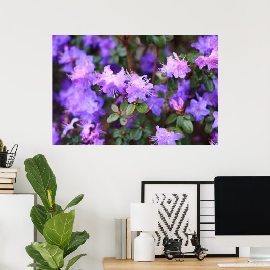 Blaues lila Rhododendron Poster (Heimbüro)
