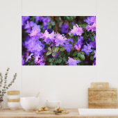 Blaues lila Rhododendron Poster (Küche)
