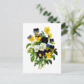 Blaues lila und gelbes Stiefmütterchen durch Postkarte (Stehend Vorderseite)