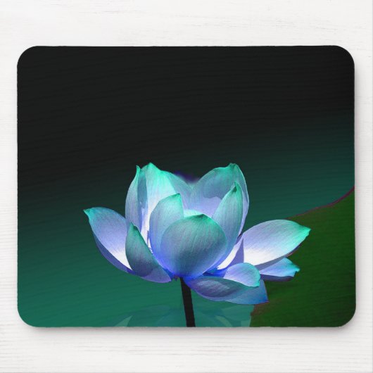Blaues Lotus in voller Blüte, mousepad (Vorne)