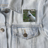 Blaues Mit Augen Cockatoo Button (Beispiel)