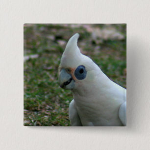 Blaues Mit Augen Cockatoo Button