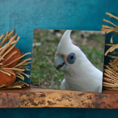 Blaues Mit Augen Cockatoo Fotoplatte (Seite)