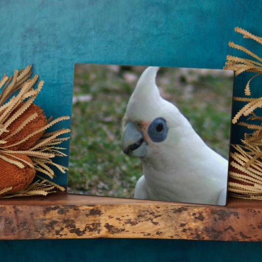 Blaues Mit Augen Cockatoo Fotoplatte (Seite)