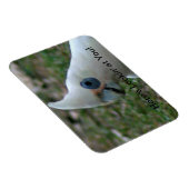 Blaues Mit Augen Cockatoo Magnet (Rechte Seite)