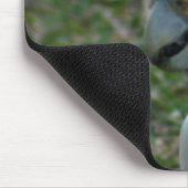 Blaues Mit Augen Cockatoo Mousepad (Ecke)