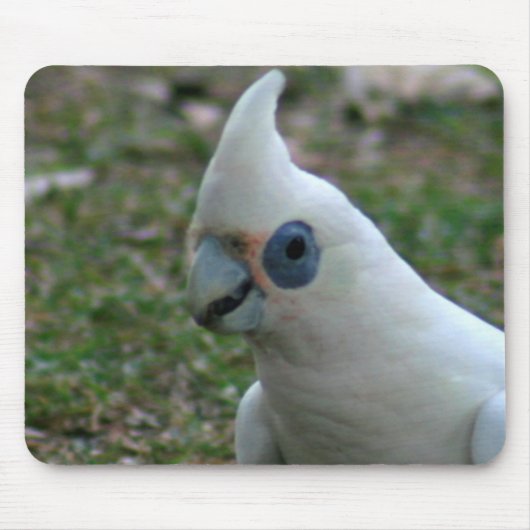 Blaues Mit Augen Cockatoo Mousepad (Vorne)
