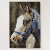 Blaues Mit Augen Fohlen Puzzle (Vertikal)