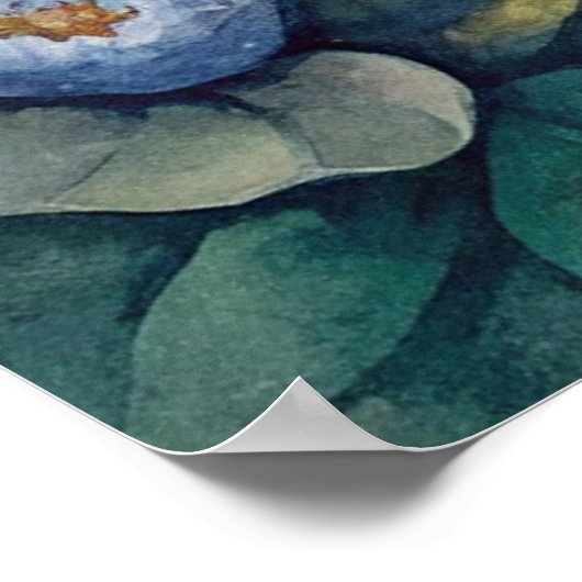 Blaues Mit Augen Kätzchen Poster (Ecke)