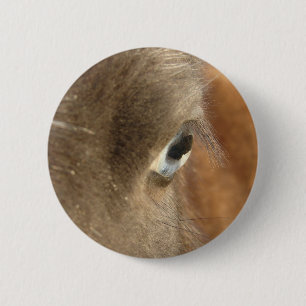Blaues Mit Augen Pferd Button