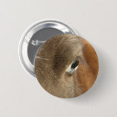 Blaues Mit Augen Pferd Button (Vorne & Hinten)