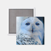Blaues Mit Augen Schneeauge Magnet (Vorderseite/Rückseite)