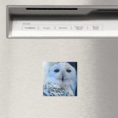 Blaues Mit Augen Schneeauge Magnet (In Situ (Geschirrspüler))