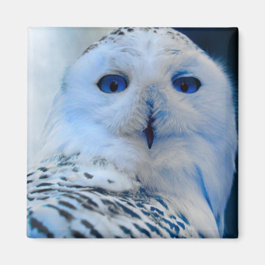Blaues Mit Augen Schneeauge Magnet (Vorne)
