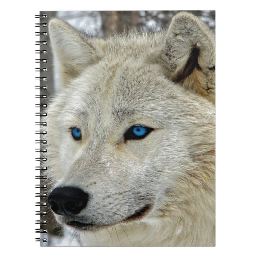Blaues mit Augen weißer Wolf-Notizbuch Notizblock (Vorderseite)