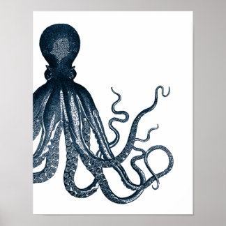 Blaues Modern Octopus Poster