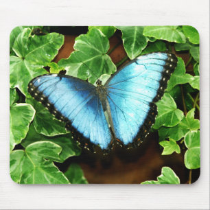 Blaues Morpho Mousepad