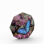 Blaues Morpho-Schmetterling-Insekt-Foto Fotoblock (Links)