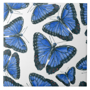 Blaues Morphon-Schmetterling-Muster Fliese