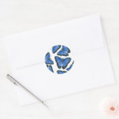 Blaues Morphon-Schmetterling-Muster Runder Aufkleber (Umschlag)