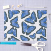 Blaues Morphon-Schmetterling-Muster Seidenpapier (Handwerk)