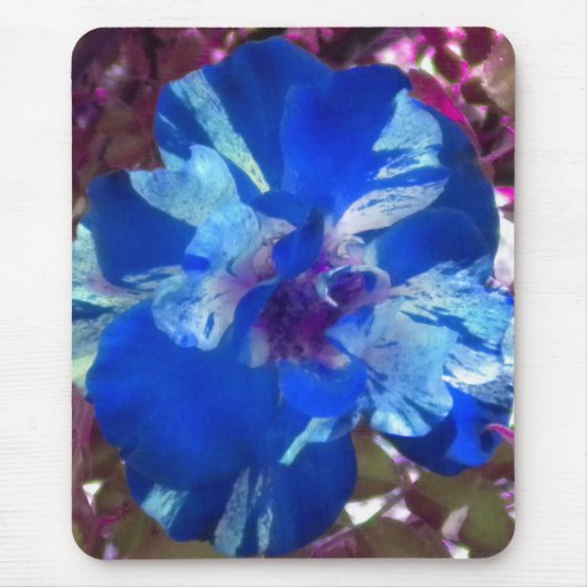 Blaues Mousepad mit variierter Rose (Vorne)
