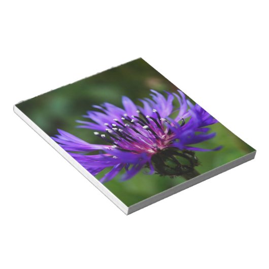 Blaues Notizblock (angewinkelt)