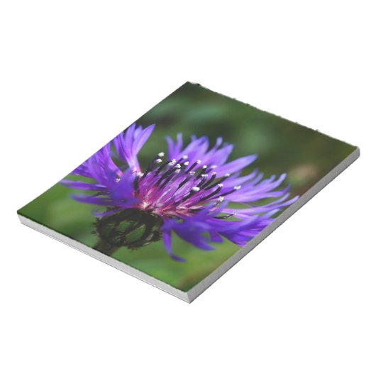 Blaues Notizblock (Rotiert)