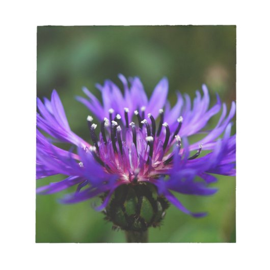 Blaues Notizblock (Vorderseite)