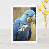 Blaues Papagei Karte (Gelbe Blume)