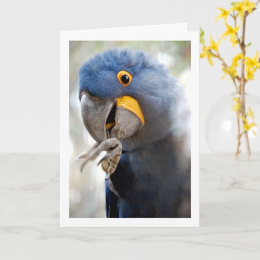 Blaues Papagei Karte (Gelbe Blume)