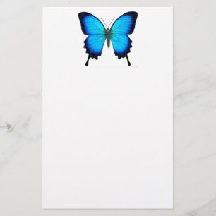 Blaues Papilio Ulysses Schmetterlings-Briefpapier Briefpapier