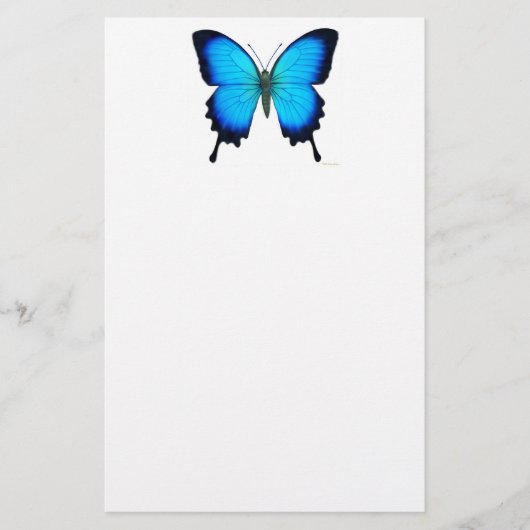 Blaues Papilio Ulysses Schmetterlings-Briefpapier Briefpapier (Vorderseite)