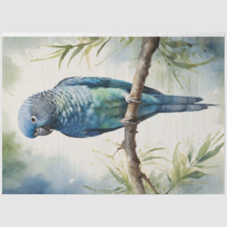 Blaues Parakeet Eukalyptus Decoupage Seidenpapier