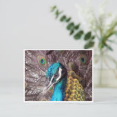 Blaues Pfauengesicht Postkarte (Stehend Vorderseite)