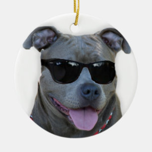 Blaues pitbull mit Gläsern Keramikornament