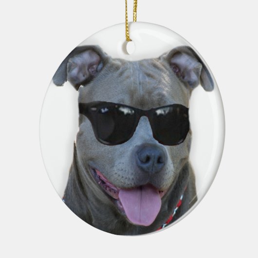 Blaues pitbull mit Gläsern Keramikornament (Links)