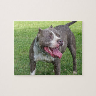 BLAUES PITBULL PUZZLESPIEL PUZZLE