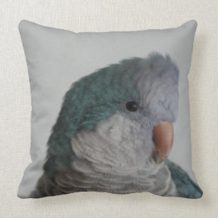 Blaues Quäker-Papageien-Kissen Kissen