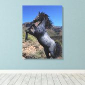 Blaues Roan in der Wüste züchten Leinwanddruck (Insitu (Holzboden))