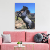 Blaues Roan in der Wüste züchten Leinwanddruck (Insitu (Wohnzimmer))