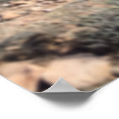 Blaues Rösspferd in der Wüstenkunst drucken Poster (Ecke)