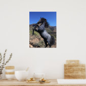 Blaues Rösspferd in der Wüstenkunst drucken Poster (Küche)