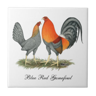 Blaues Rot Gamefowl Fliese