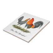 Blaues Rot Gamefowl Fliese (Seite)