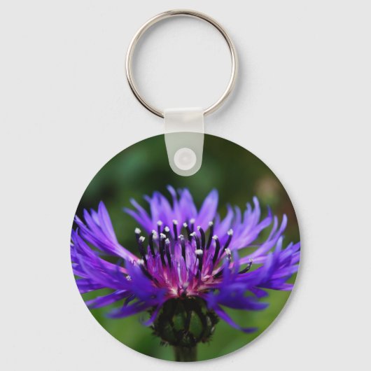 Blaues Schlüsselanhänger (Vorderseite)