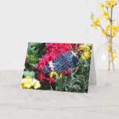 Blaues Schmetterlings-Bild in der Karte (Gelbe Blume)