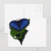 Blaues Schmetterlingsherz Postkarte (Vorne/Hinten)