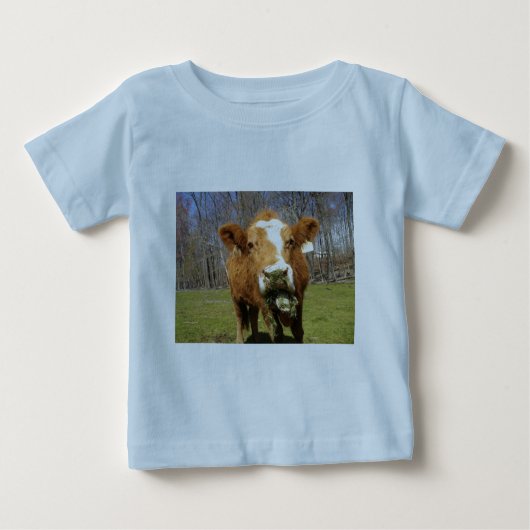 Blaues Shirt (Vorderseite)