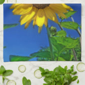 Blaues Sonnenblume-Geschirrtuch Mais-'N Küchentuch (Gefaltet)